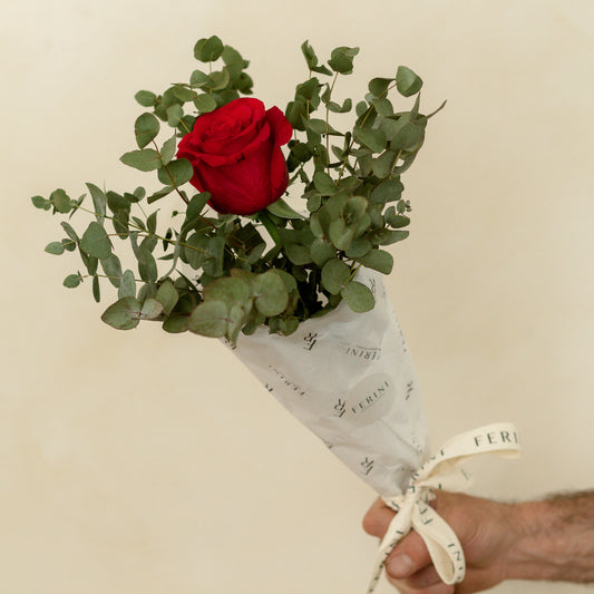 Detalle rosa de color rojo