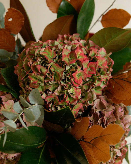 Ramo de hortensias de flor natural
