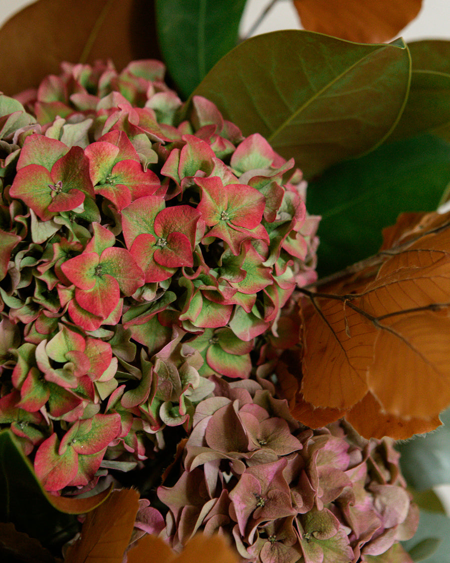Ramo de hortensias de flor natural