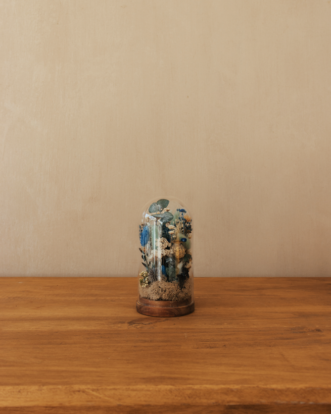 Cúpula de flor preservada