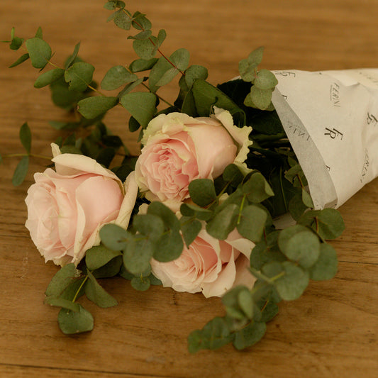 Detalle rosa de color rosa