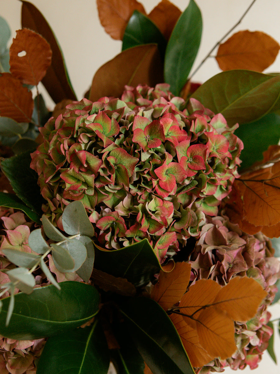 Ramo de hortensias de flor natural