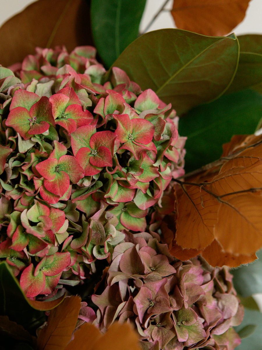 Ramo de hortensias de flor natural