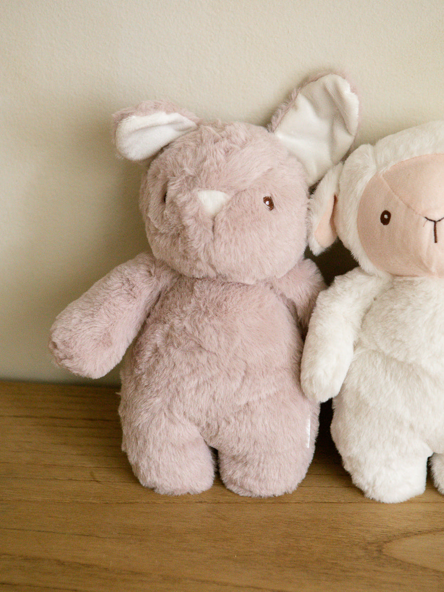 Peluche