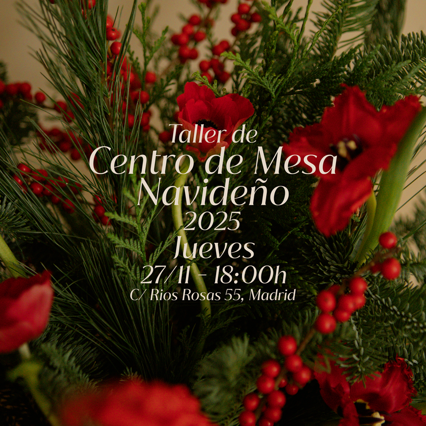 Taller de centro navideño 27/11 Madrid