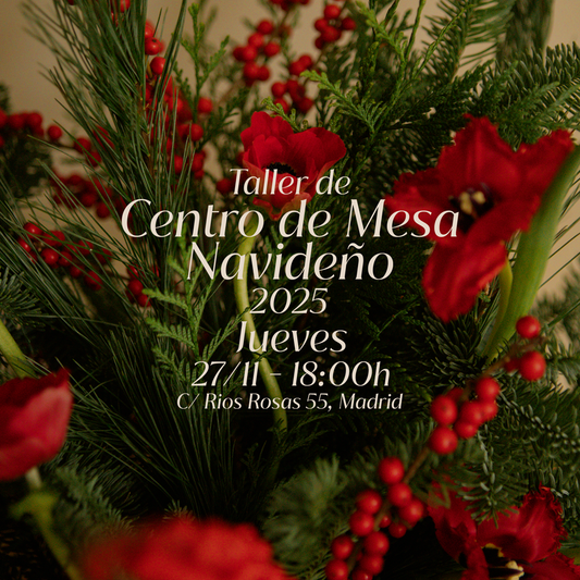 Taller de centro navideño 27/11 Madrid